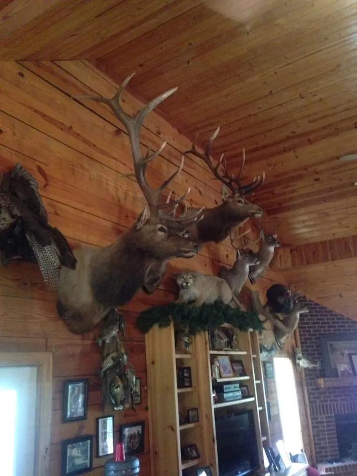 Camp House