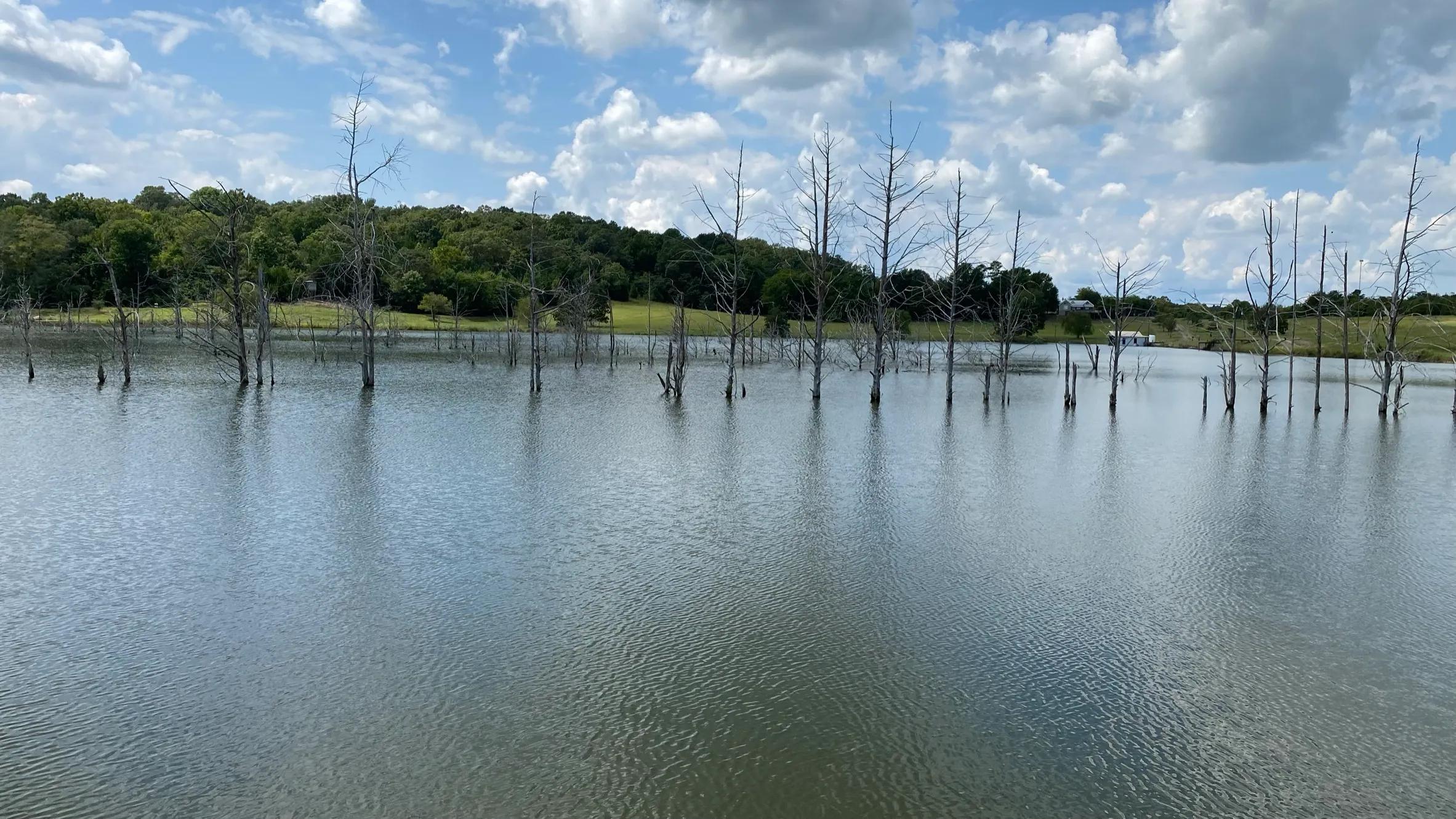 Lake Scott