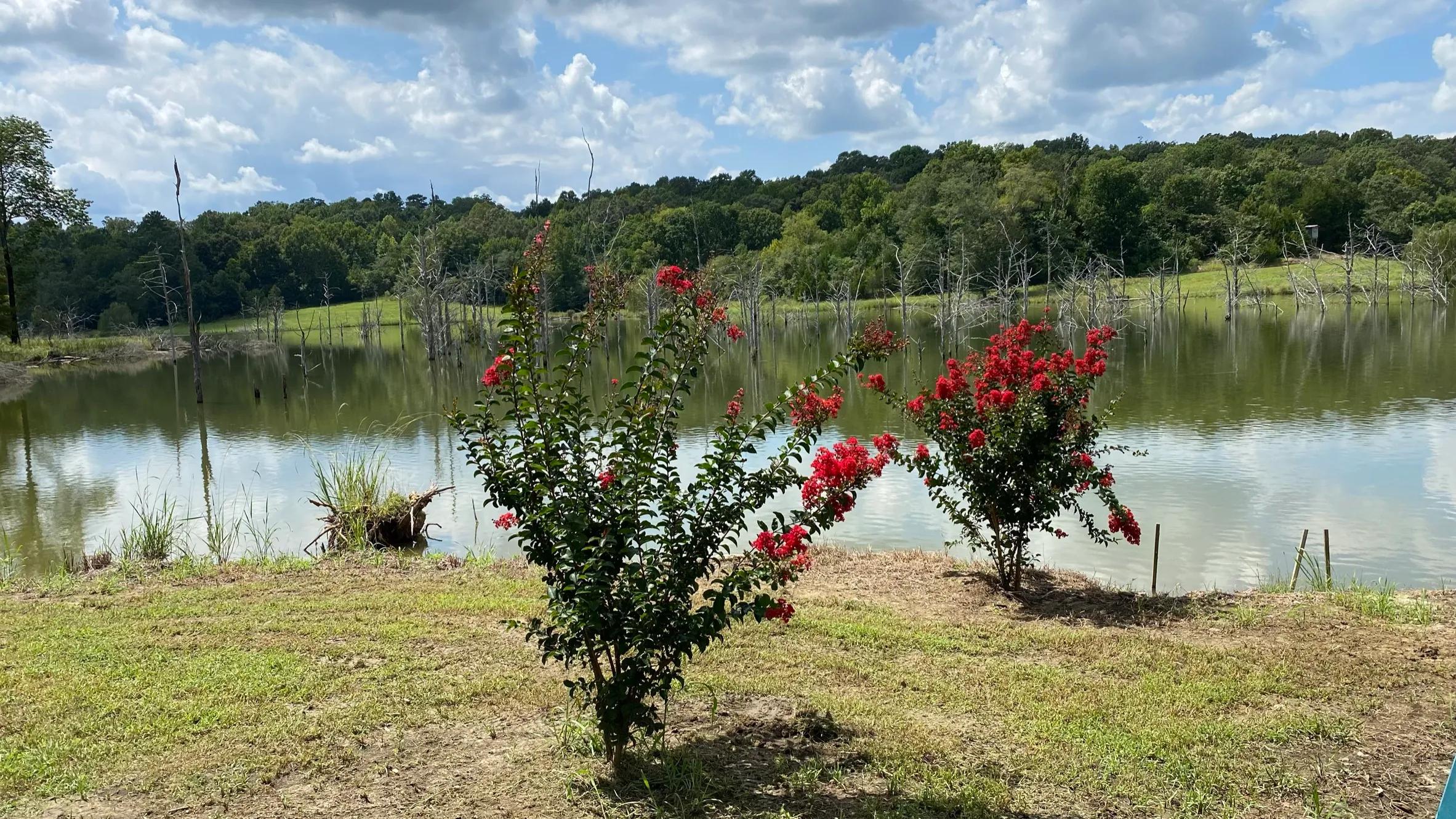 Lake Waters