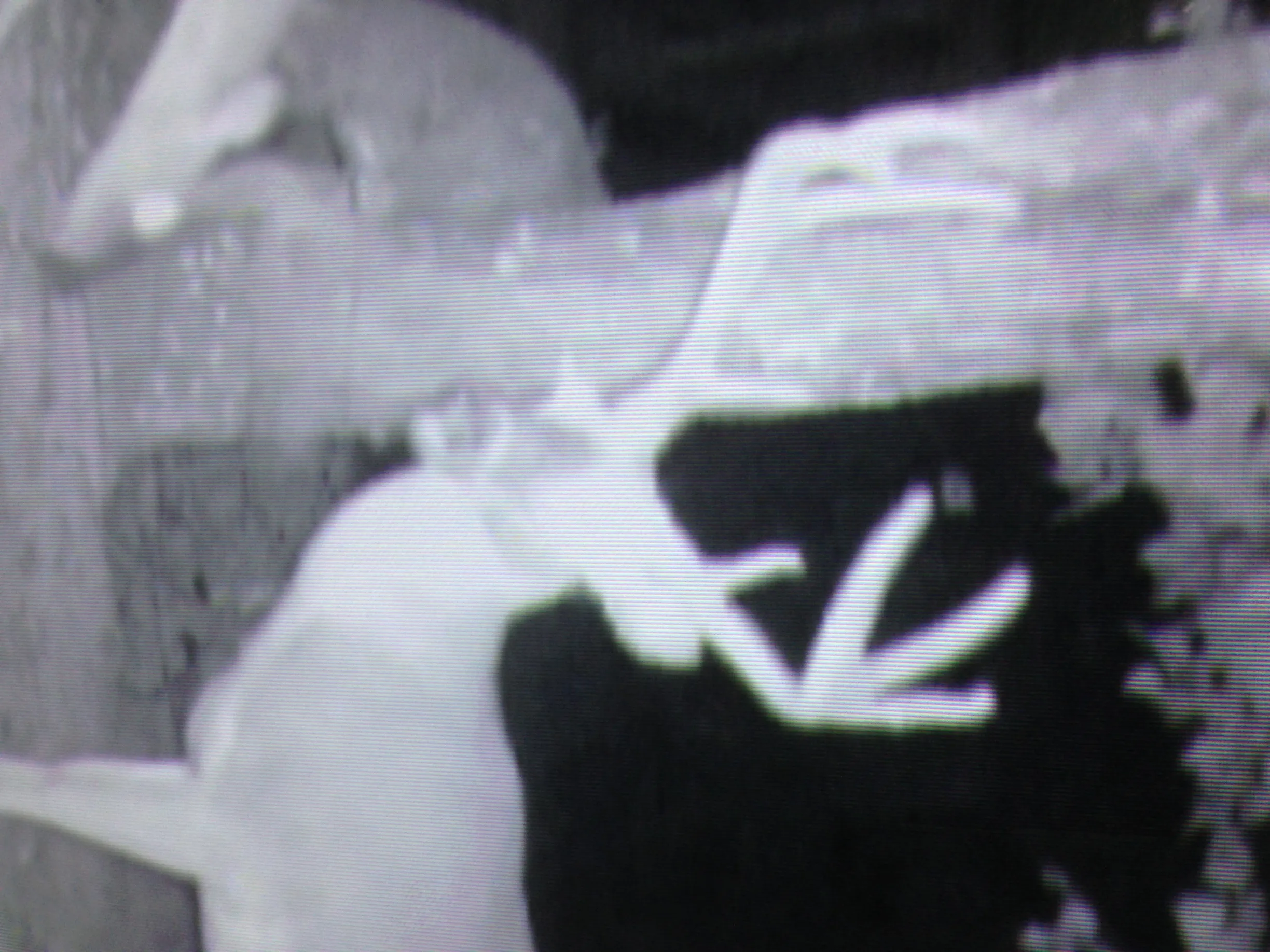 IMG_0657-e1415307520194