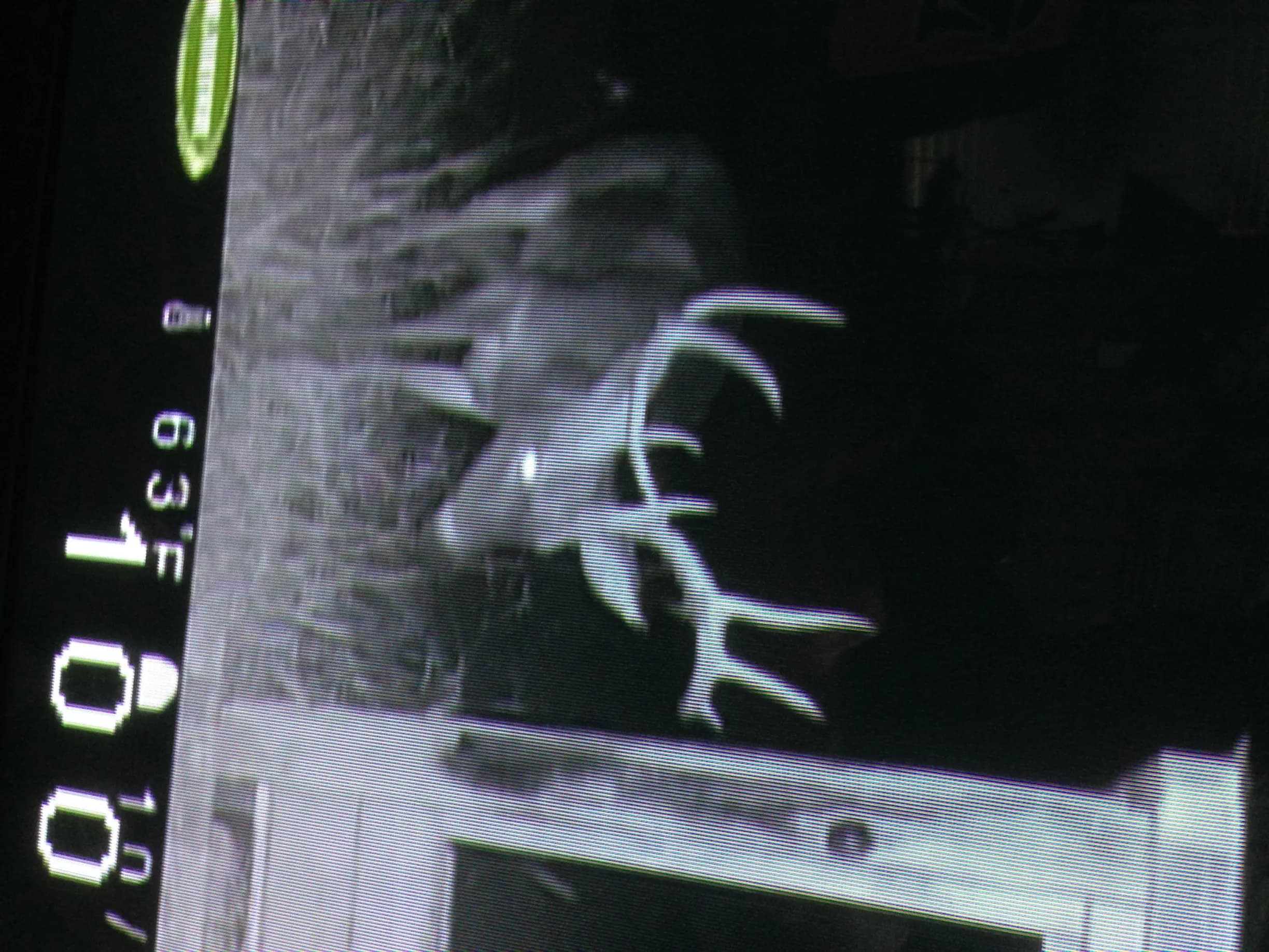 IMG_0691-e1415308108291