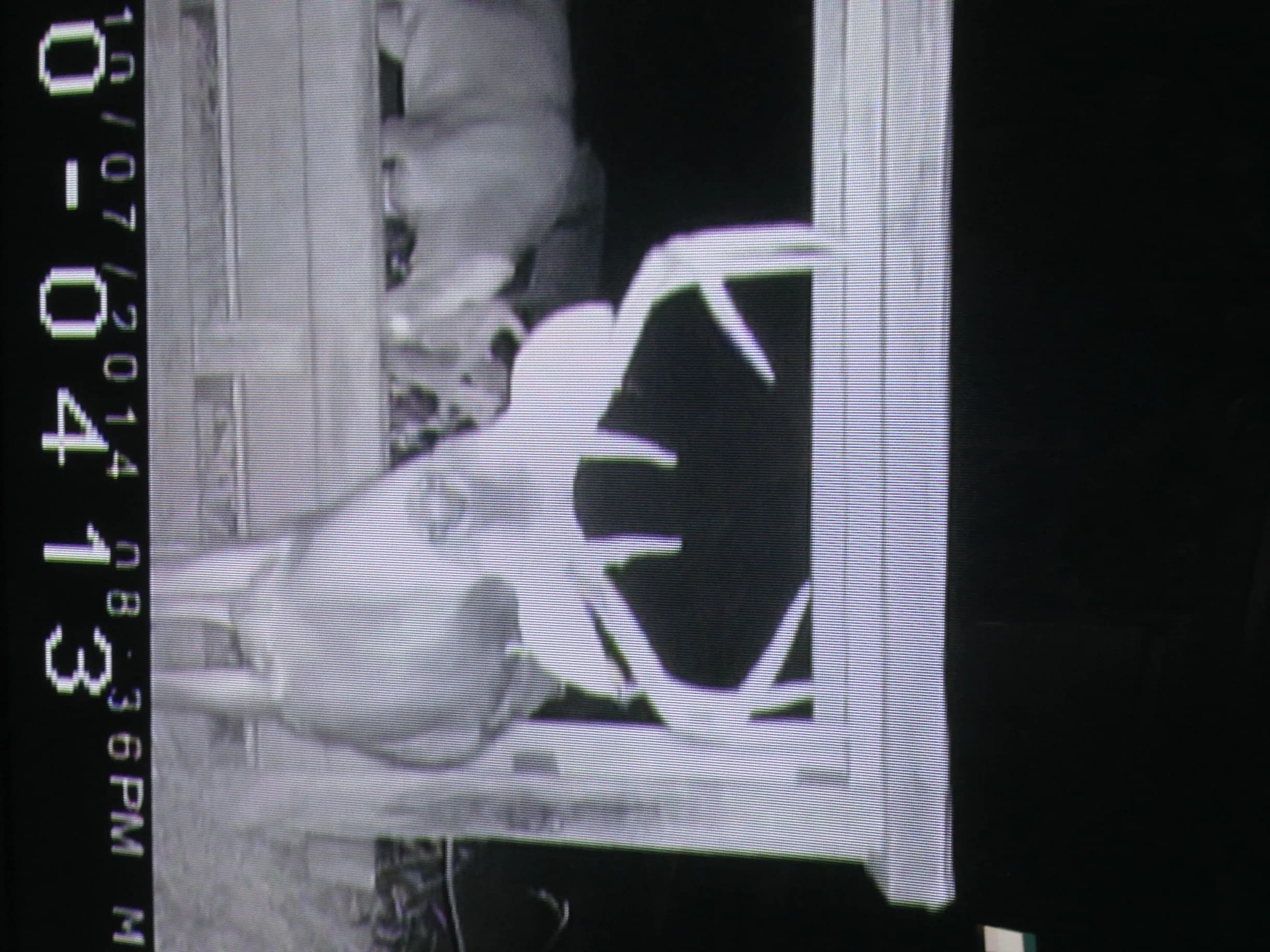 IMG_0692-e1415308117297